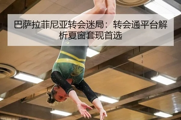 ba-sa-la-fei-ni-ya-zhuan-hui-mi-ju-zhuan-hui-tong-ping-tai-jie-xi-xia-chuang-tao-xian-shou-xuan-2-455.jpg